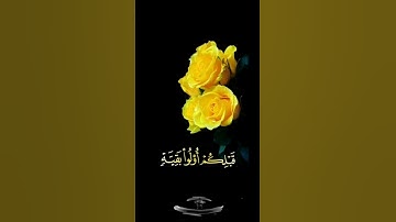 صباح الخير💛حالات واتساب مقاطع قصيره💛قران كريم سورة هود واصبر فإن الله لا يضيع 💛اسلام صبحي بدون حقوق