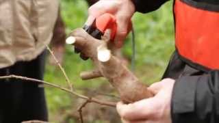 Forbice elettrica a batteria per potature. NOVITA'! CavallieCavalli Sardegna