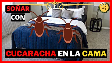 ¿Duermen las cucarachas en las camas?