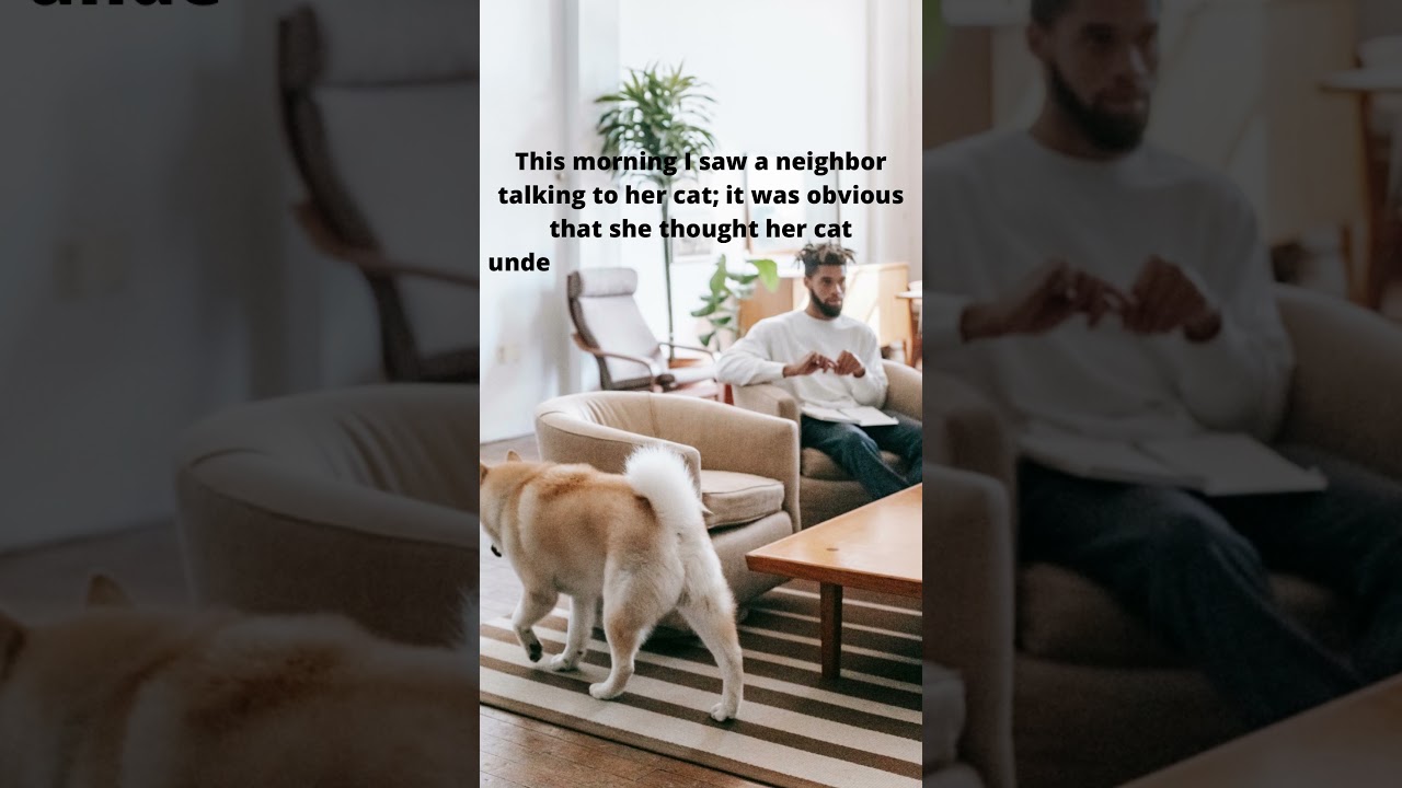 Funny quotes YouTube