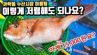 How to buy sashimi at a cheap price in the Garak-dong fish market in Seoul