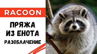 видео: Пряжа из енота? Пух норки? Разоблачение😱 картинка: Пряжа из енота? Пух норки? Разоблачение😱