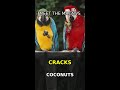 This Bird Can Crack Open Coconuts With Its Beak 🥥