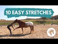 HOW TO STRETCH A HORSE (10 Easy Horse Stretches)