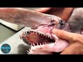 Top 10 Disturbing Scientific Deep Sea Discoveries