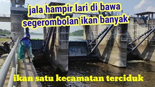 REKOR DUNIA,jala ikan di pintu air,dapat ikan sekecamatan,jala hampir di bawa lari ikan banyak,NGERI
