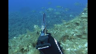 Seabreams aspetto Salvimar Metal 85 test