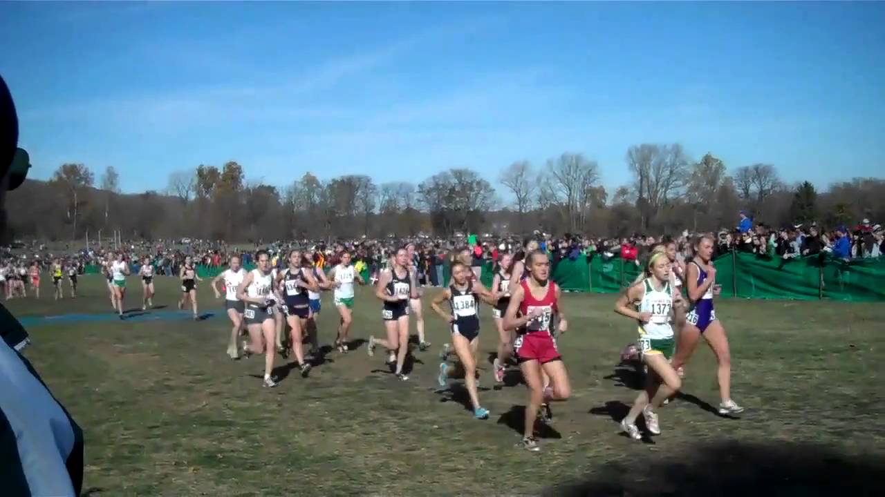 IHSA Class 3A Girls Cross Country State Championship 11/6/10 - YouTube