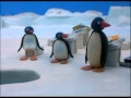 Pingu at School - Pingu Official Channel