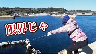 【釣り】堤防スレスレに装置を落としたらごっつい生き物が飛び出してきた！