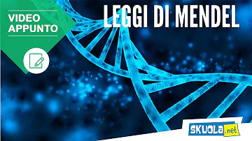Quali sono le principali malattie ereditarie?