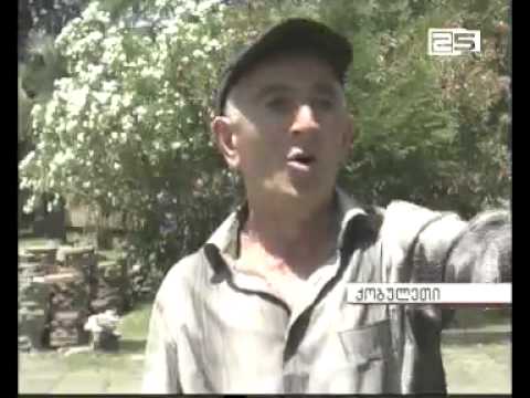 კოოპერატივების წარმომადგენლებს და ფერმერებს ზაურ ფუტკარაძე შეხვდა