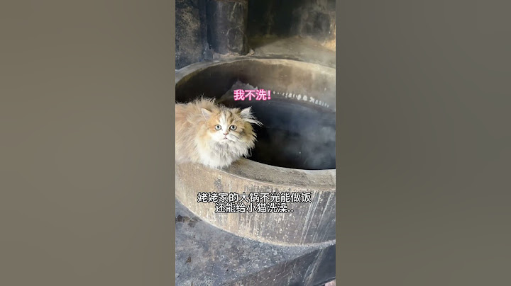 【#雪球日记】小猫:姥姥这水怎么越洗越烫? #猫咪的迷惑行为