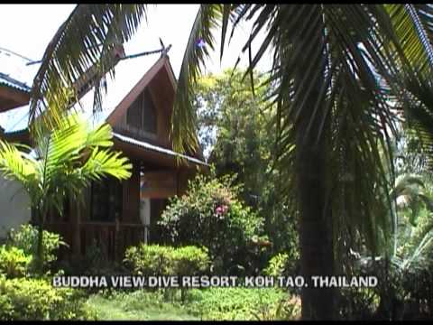 Diving Koh Tao, Thailand