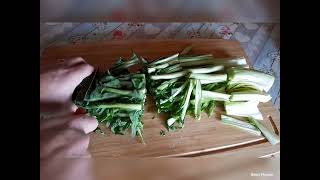 Ecco Il Modo Più Semplice Di Cucinare La Cicoria Catalogna