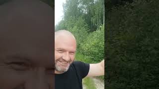 Работа рации Штурман в лесу - связь шёпотом на расстоянии вытянутой руки.  #cb #рации #сиби