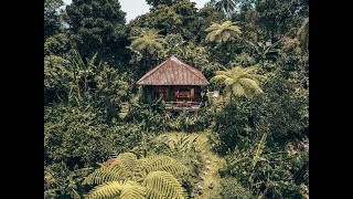 Orchid Bungalow | Sarinbuana Eco Lodge, Bali