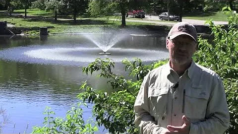 Kasco JF Series Fountains - Outstanding Versatility And Performance