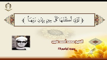 الشيخ محمد أحمد شبيب سورة إبراهيم 25 بياتي عجم