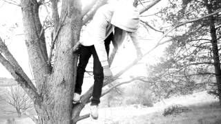 Kolonisering Af Congo