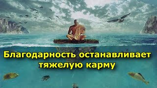 Благодарность Останавливает Тяжелую Карму