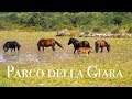 🚐 Viaggi in Camper 🇮🇹 🌍  - PARCO DELLA GIARA - SU NURAXI BARUMINI (VS)