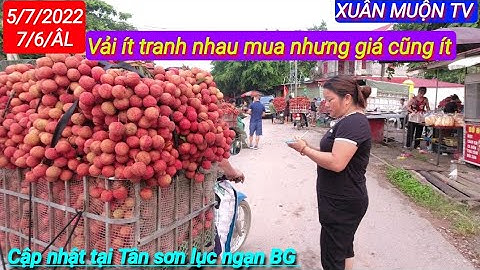giá vải hôm nay tại Tân sơn lục ngạn ít vải nhưng giá không cao