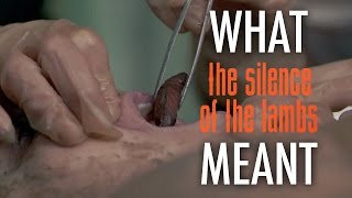 The Silence of the Lambs - What it all Meant by What it all Meant 510,930 views 7 years ago 8 minutes, 20 seconds