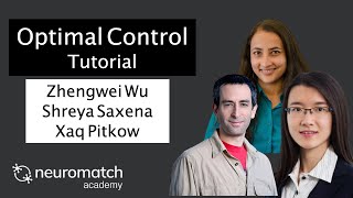 Optimal Control Tutorial 1 Video 5 Net Worth