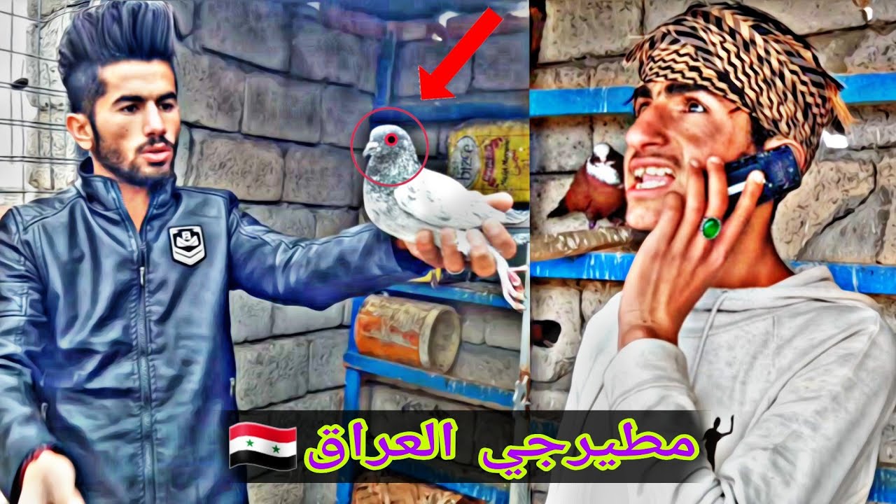 احسن  مطيرجي بل العراق/ تحشيش المطيرجي العراقي  تفليش🕊#حيدرالنسر