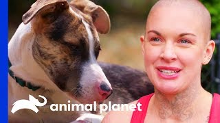Dog With Mobility Issues Gets A Chance At A Forever Home | Amanda To The Rescue