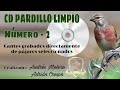 💿2º- CD PARDILLO LIMPIO 2022😍🔝 GRAN CALIDAD #silvestrismo #linotte #pardillo #concursos