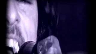 New Spirit Navigator. 10,000 pin up girls