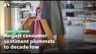 Consumer Sentiment Takes a Dive