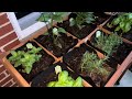 Best Choice Products Elevated 8 Pocket Herb Garden Bed review. #foundonamazon #gardening