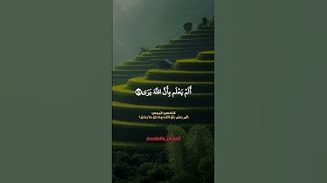 ألم يعلم بأن الله يرى ❤️ #سورة_العلق #إدريس_أبكر #صوت_جميل #قرآن_كريم #تلاوة_خاشعة #الجزائر #دعم