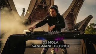 DJ LAGU TORAJA REMIX | SANGMANE TOTO'KU REMIX | DJ MOLA |