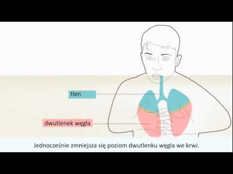 Wideo: Dźwięki Oddechu: Rodzaje, Przyczyny I Leczenie