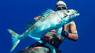 The Green Job fish (Uku) Spearfishing - Fish in Focus