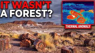 Full Geologists Just Found Out What Arizona's Petrified Forest Actually Is Update