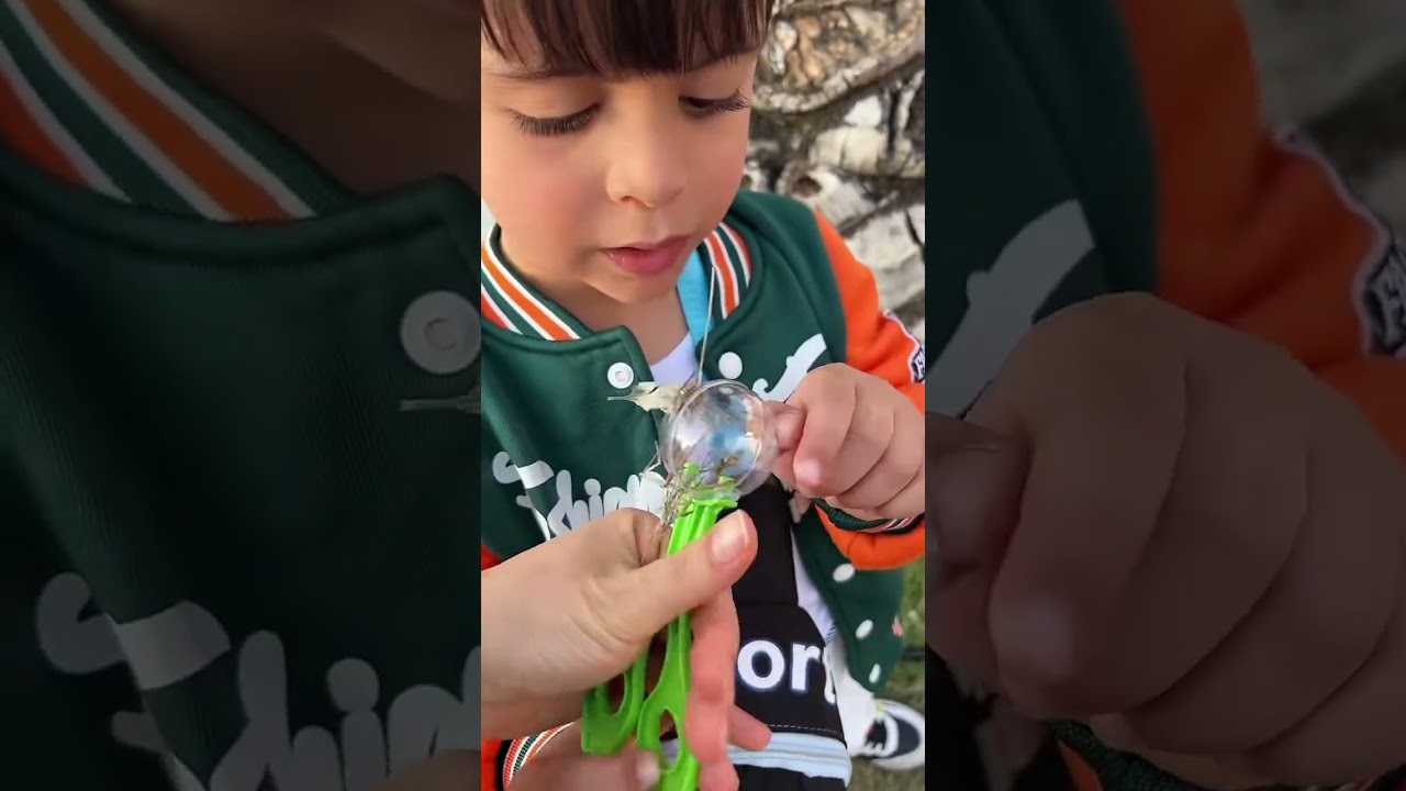 شادو ابو زين Shado Abu Zeana