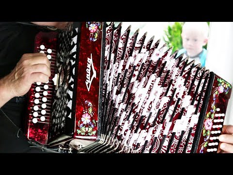 Гармонь Чайка 314 🌼🎵🌼 Шуйская Гармошка чайка 🎵 песни под гармошку - YouTube
