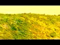 Stealers Wheel Stuck In The Middle With You Johnson Somerset Remix 
