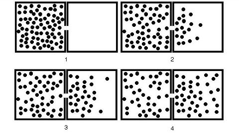 Particle Diffusion from a box using monte carlo simulation : Theory, Code, Gnuplot Visualization.