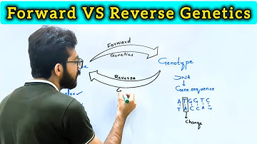 Forward vs Reverse genetics | Key difference between Reverse and Forward Genetics