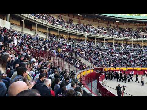 Vídeo: Planificación De La Corrida De Toros De Pamplona - Matador Network