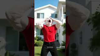 O gato explosivo. # Iaemfoco