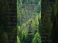 Библия, Бытие 5:26-32 #god #bible #amin #jesus
