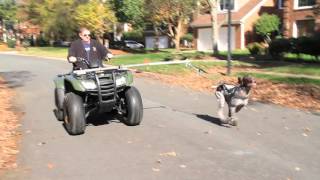 DAY 13 - JEFF BROWNING
Today Jeff Browning is going to show us how he rehabbed his (adorable) dog Cooper back into peak physical condition.. all while riding his ATV. DAY 13 - JEFF BROWNING