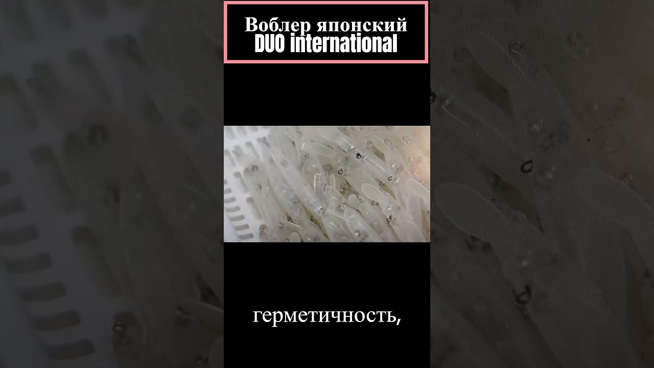 Лучший японский воблер DUO international